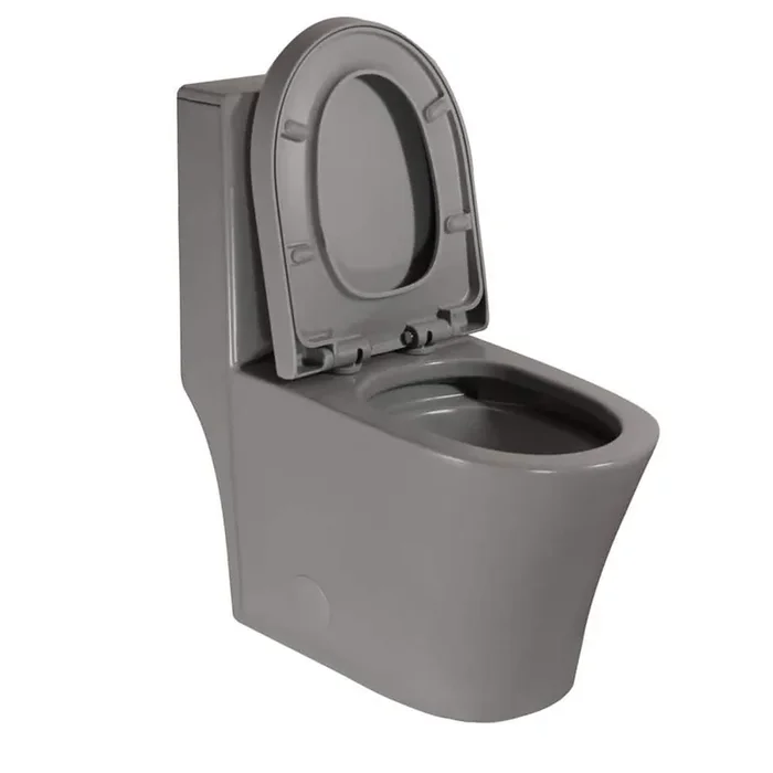 1.1/1.6 GPF Dual Flush Elongated 1-Piece Toilet Water Saving Comfort Seat Height in Matte Grey