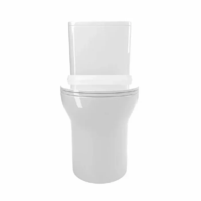 1.1/1.6 GPF Dual Flush Elongated Comfort Height Floor Mounted 1-Piece Toilet with Soft Close Seat, White