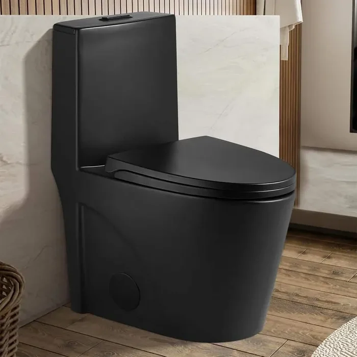 1.1/1. 6GPF Dual Flush Elongated 1-Piece Toilet in Matte Black with UF Soft Closing Seat Cover, Seat Included