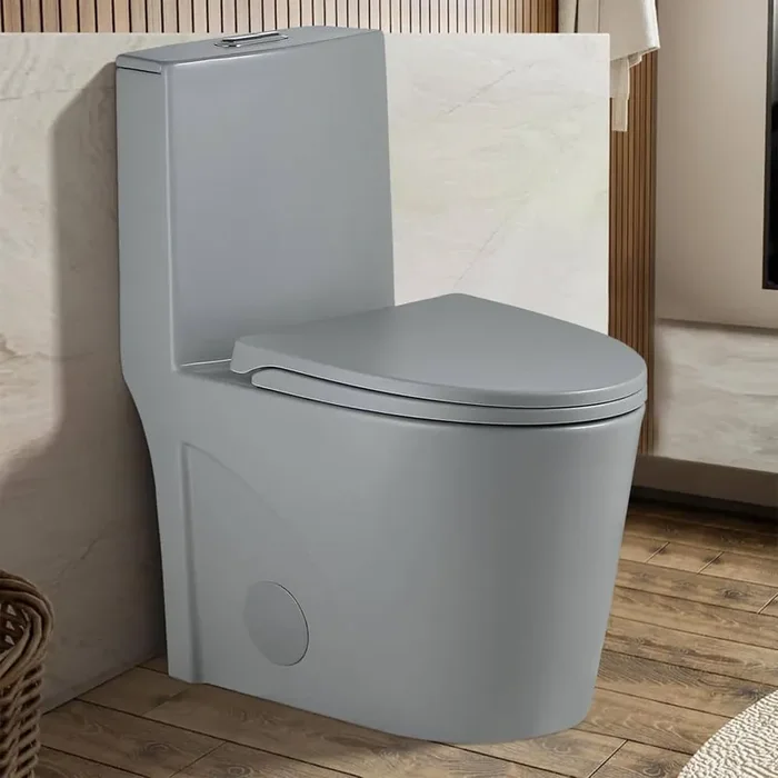 1.1/1. 6GPF Dual Flush Elongated 1-Piece Toilet in Matte Light Gray with UF Soft Closing Seat Cover, Seat Included