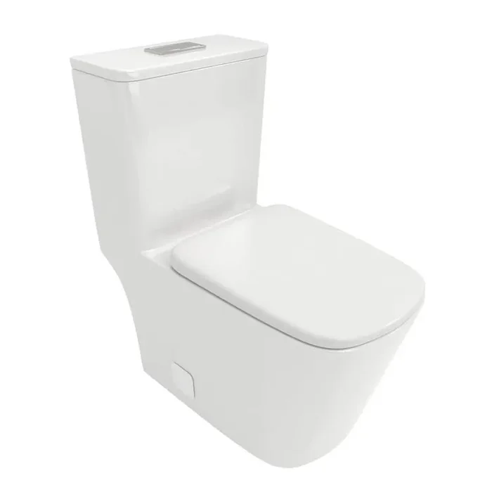 1.1/1. 6GPF Siphon Dual Flush Elongated 1-Piece Toilet in White with Soft-Close Seat, Seat Included