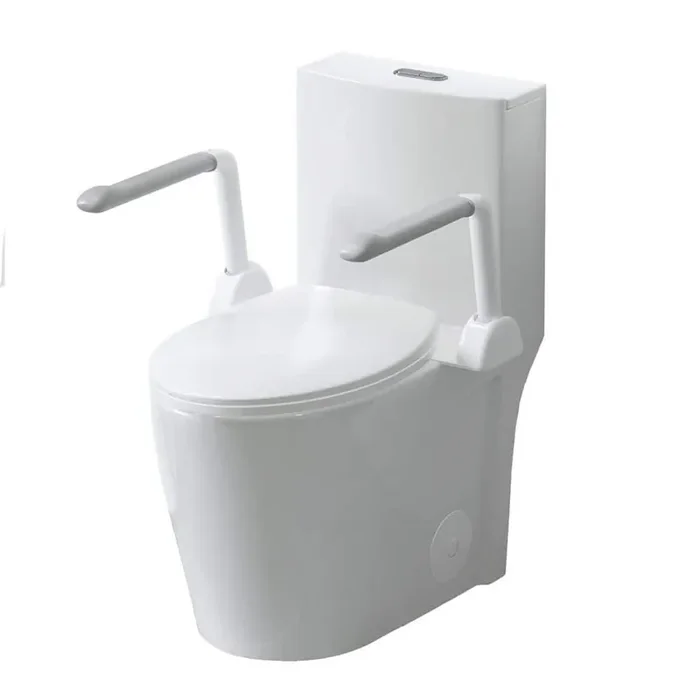 1/1.6 GPF Tornado Flush Elongated 1-Piece Toilet in Glossy White With Armrest, Siphonic S-trap 12 in. Soft Close Seat