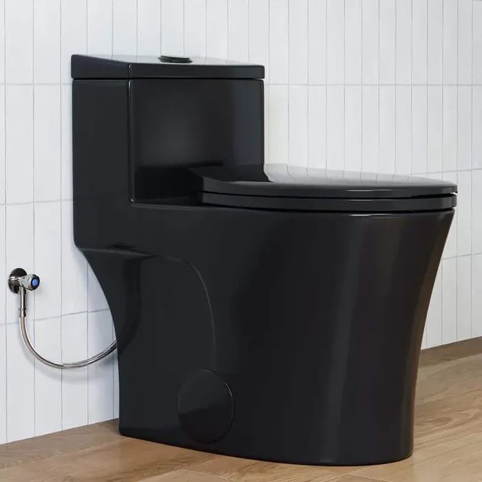 1-Piece 0.8/1.28 GPF Dual Flush Elongated Toilet in Matte Black with Soft-Close Seat Included