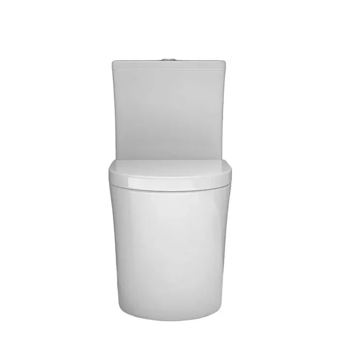 1-Piece 0.8/1.6 GPF Dual Flush Round Shape Toilet in Glossy White