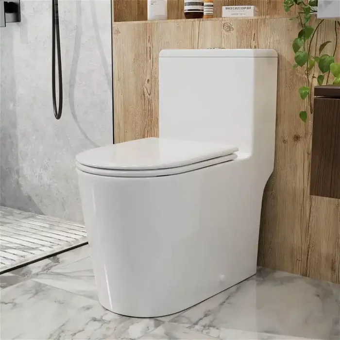 1-Piece 1.0 / 1.28 GPF Dual Flush High Efficiency Elongated Toilet in Gloss White Soft-Close Seat Included