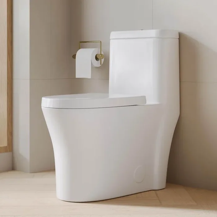 1-Piece 1.1/1.6 GPF Dual Flush 12 in. Rough in Elongated Toilet Fully Skirted in White, Soft close Seat Included