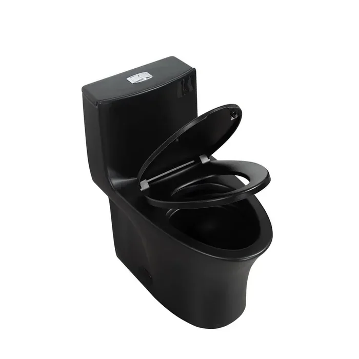 1-Piece 1.1/1.6 GPF Dual Flush Elongated Toilet in Matte Black Seat Included