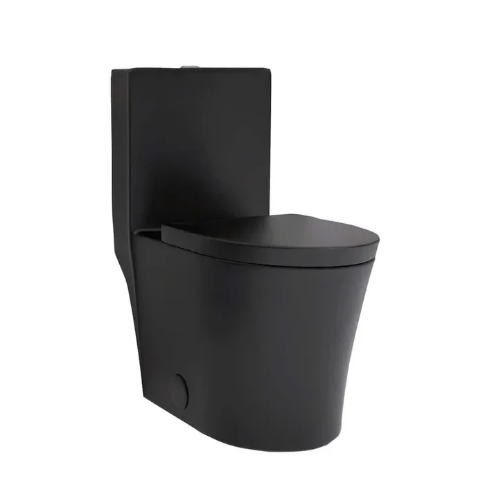1-Piece 1.1/1.6 GPF Dual Flush Elongated Toilet in Matte Black Seat Included