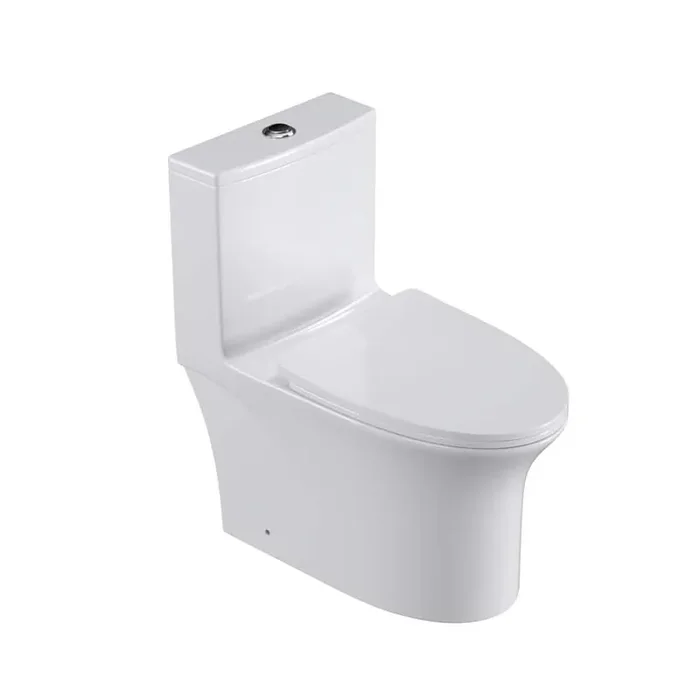 1-Piece 1.1/1.6 GPF Dual Flush Elongated Toilet in White Seat Included