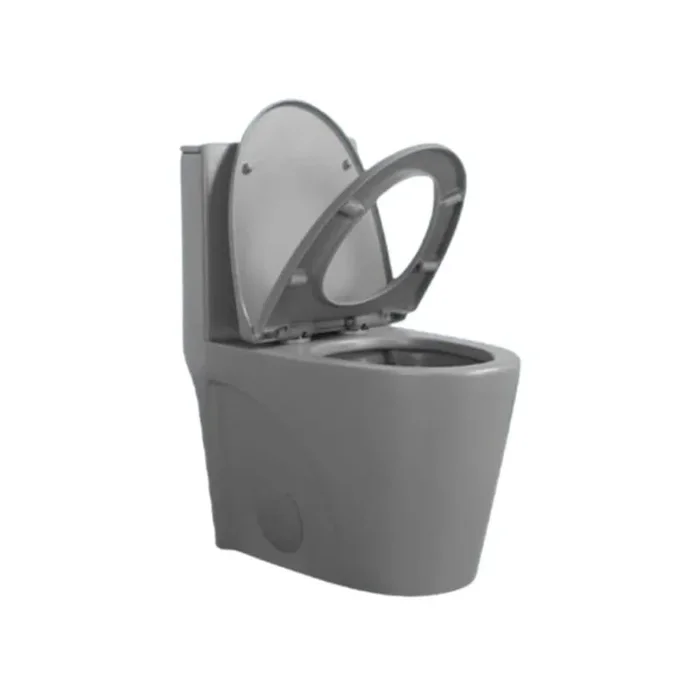1-Piece 1.1/1.6 GPF Dual-Flush Elongated Toilet with Comfort Height and Soft-Close Seat in Gray Seat Included