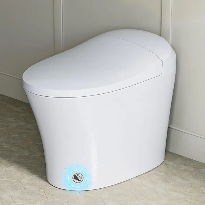 1-piece 1/1.27 GPF Dual Flush Elongated Toilet in White, Seat Included