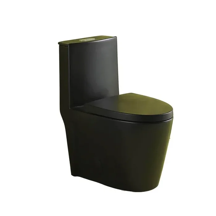 1-Piece 1.1 GPF/1.6 GPF High Efficiency Dual Flush Elongated Toilet in Matte Black with Slow-Close Seat