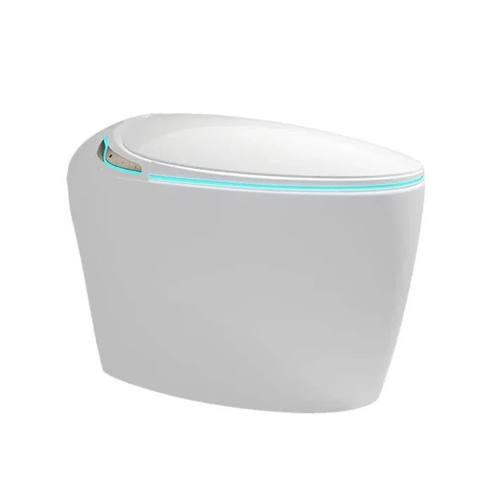 1-Piece 1.28 GPF Single Flush Elongated Smart Toilet Auto Open/Close Seat Warm Air Dryer LED Display White