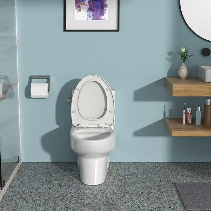 1-Piece 1.28 GPF Single Flush Elongated Toilet in White Seat Included