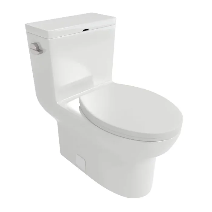 1-Piece 1.28 GPF Single Flush Elongated Toilet with Soft Closing Seat in White