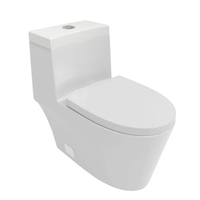 1-Piece 1.6/1.1 GPF Dual Flush Elongated Toilet with Soft Closing Seat in White