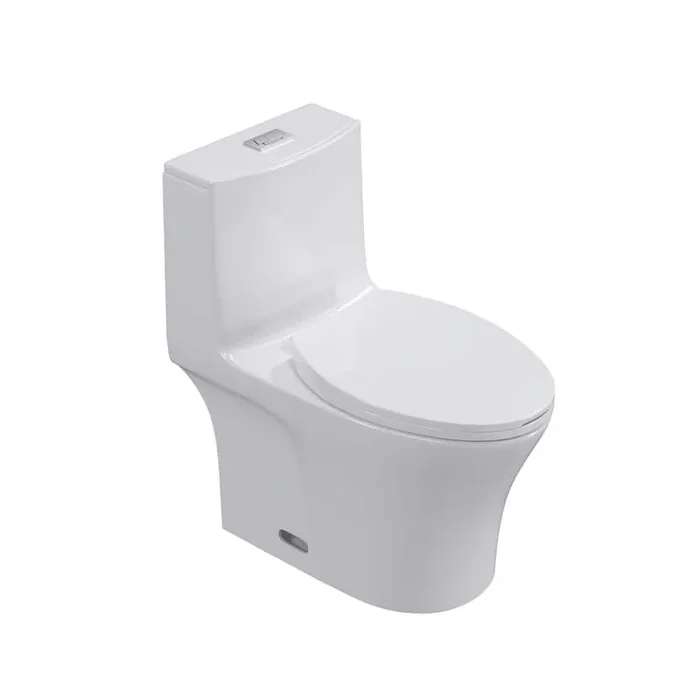 1-Piece 1.6 GPF Dual Flush Elongated Toilet in White with Soft-Close Seat