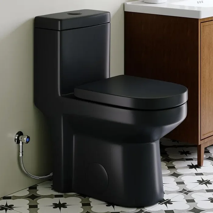 10 in. Rough-In 1-piece 0.8/1.28 GPF Dual Flush Round Compact Toilet in Matte Black, Soft-Close Seat Included