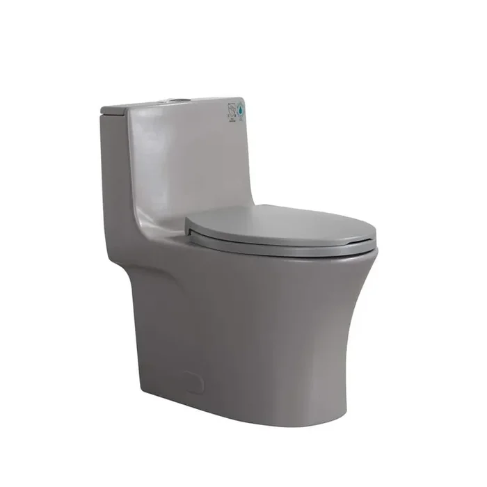 12 in. 1-Piece 1.1/1.60 GPF Dual Flush Elongated Toilet in Light Grey Seat Included