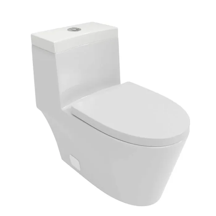 12 in. 1-piece 1.6/1.1 GPF Dual Flush Elongated Toilet in White Seat Included-D