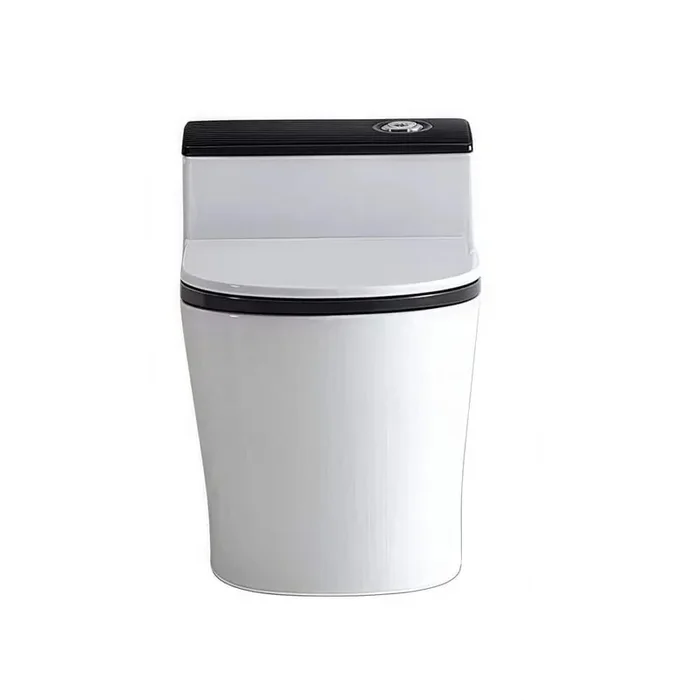 12 in. Rough In 1.6 Gal. Dual Flush GPF Elongated Comfort Height Floor Mounted 1-Piece Toilets Seat Included White