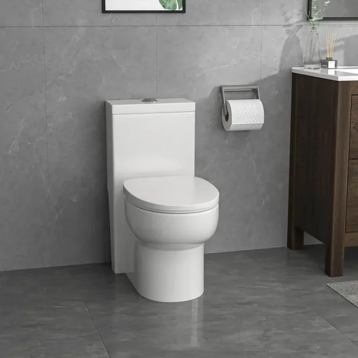 12 in. Rough-In 1-piece 1.6/1.1 GPF Dual Flush Elongated Toilet in White Soft Close Seat Included