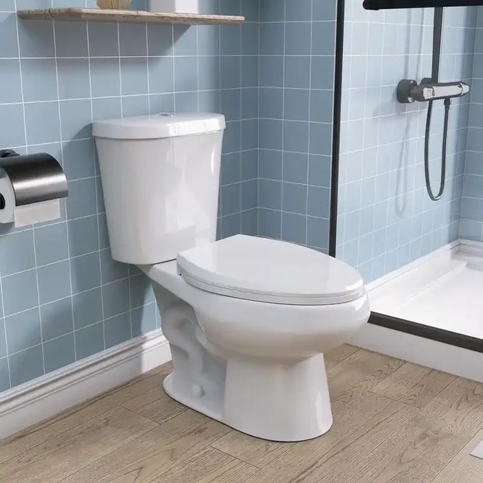 12 in. Rough-in 2-Piece Toilet 1.1/1.6 GPF Toilets Dual Flush Round Softclose Toilet in White Seat Included