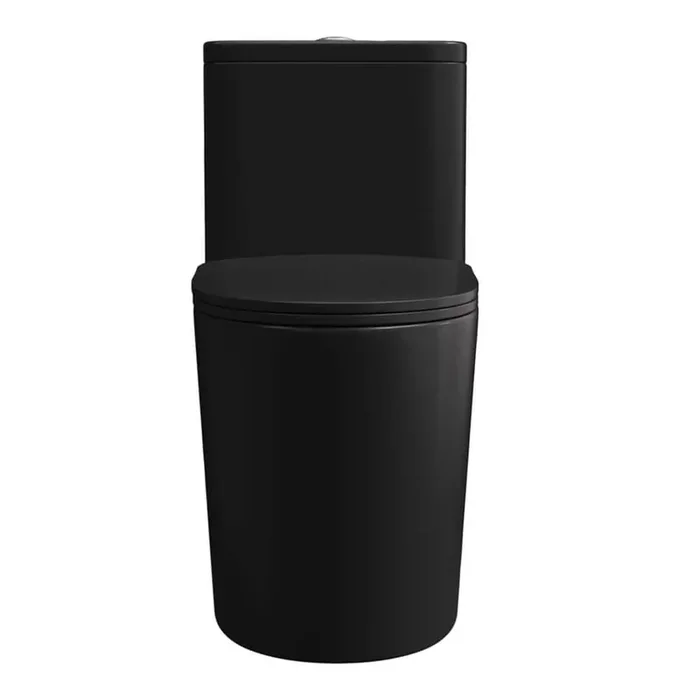 12 in. Rought One Piece 1.1/1.6 GPF Dual Flush Elongated Toilet in Black Comfortable Seat Height, Powerful and Quiet