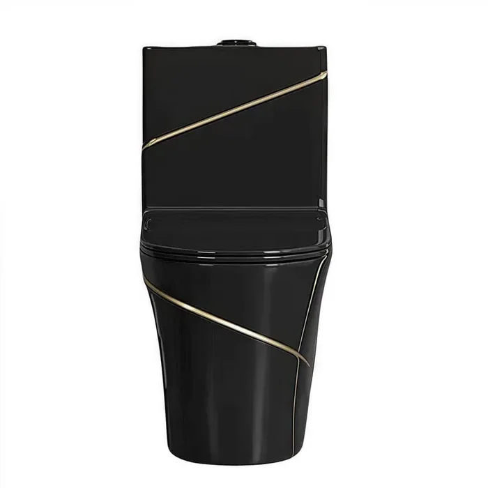 12 inch Rough In 1.6 gal. Dual Flush GPF Elongated Close Coupled One Piece Toilet in Black with Seat