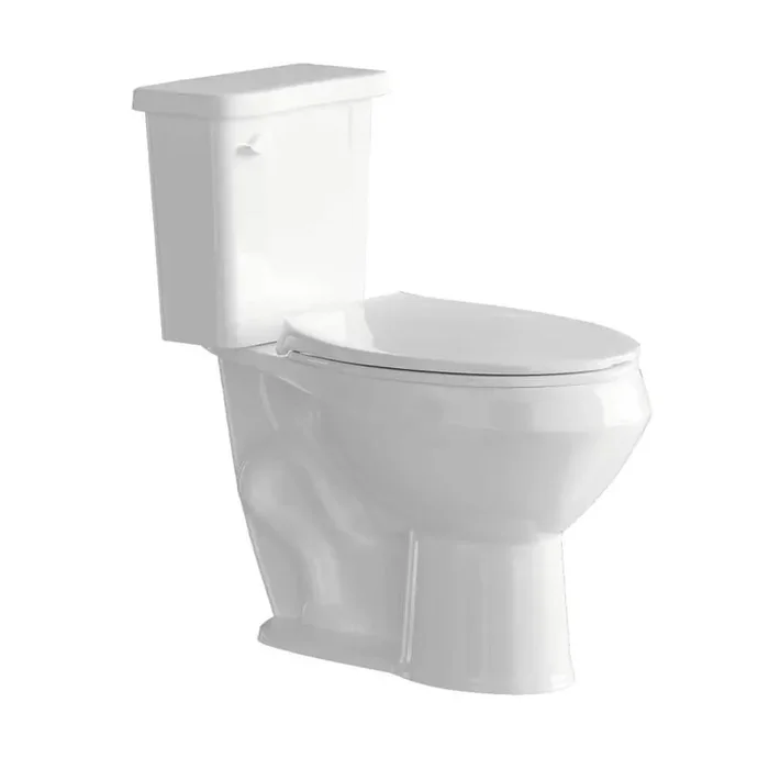 17 in. Chair Height Two-Piece Toilet 1.0 GPF Single Flush Elongated Toilet in White Map Flush 1000g with Soft-Close Seat