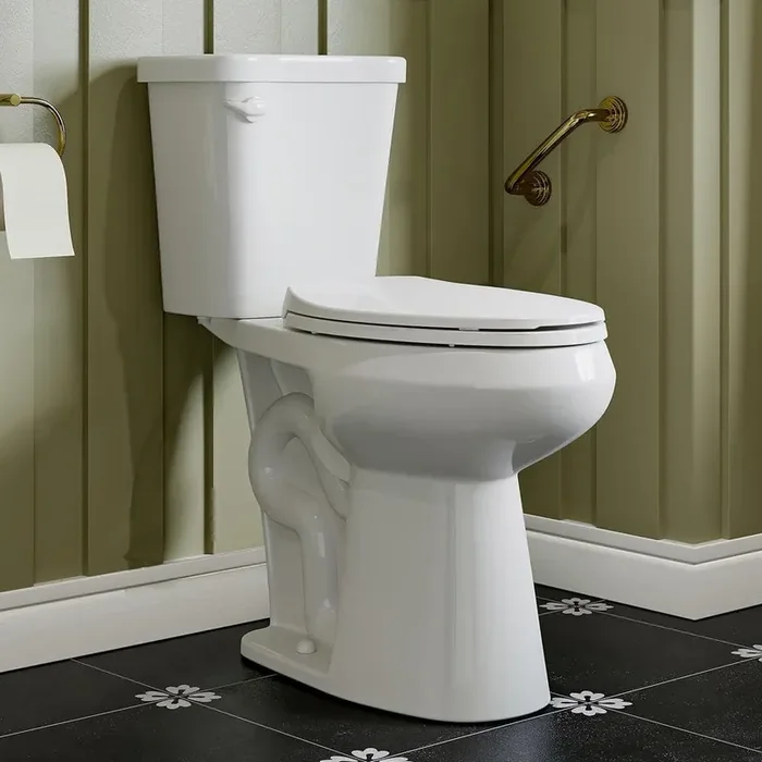 19 in. ADA Tall 2-piece High-Efficiency 1.28 GPF Single Flush Elongated Toilet in White Map Flush 1000g, Seat Included