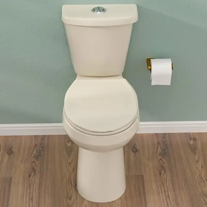 19 in. Tall 2-Piece 1.1/1.6 GPF Dual Flush Map Flush 1000g Round 2-Piece Toilet With Soft-Close Seat in Biscuit Toilet