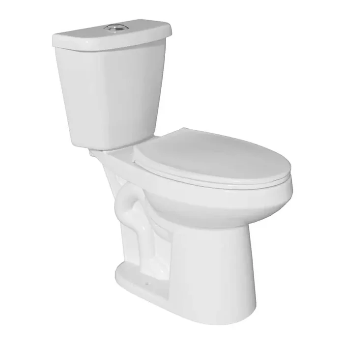 19 in Toilet Senior Friendly Dual Flush Toilet 1.0/1.28 GPF Elongated Tall Height 2-Piece Toilet in White with Seat