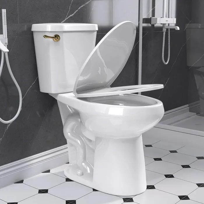 2-Piece 1.28 GPF 19 in. Height Single Flush Elongated 12-in. Rough-in Modern Toilet in White Seat Included Gold Handle