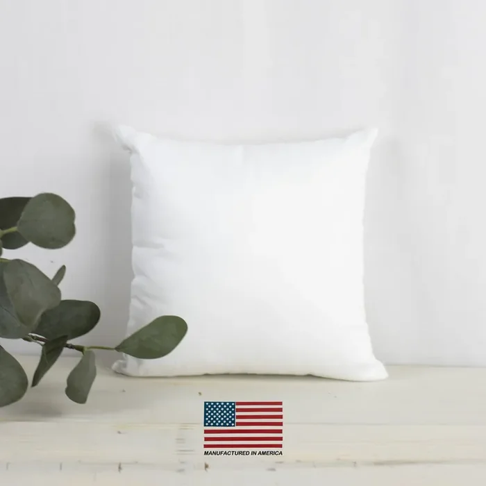 20×20 Indoor Outdoor Hypoallergenic Pillow Insert