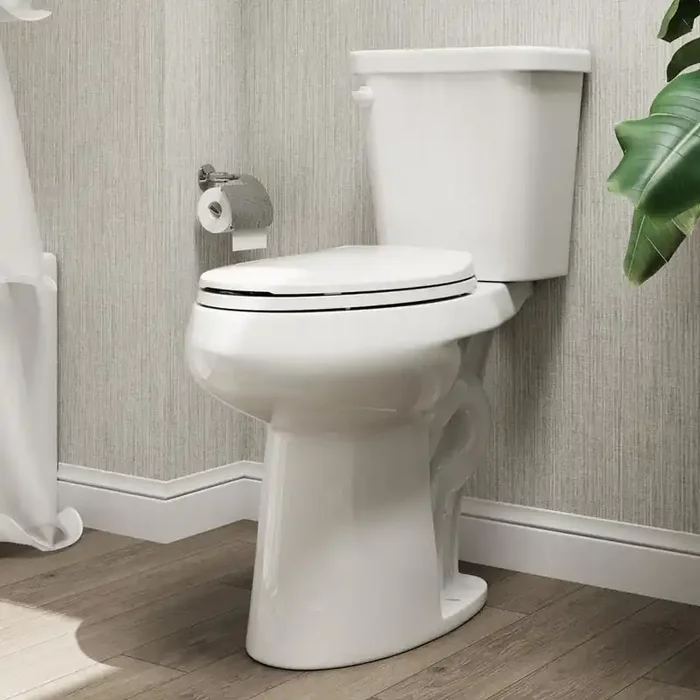 21 in. Extra Tall 2-Piece High-Efficiency 1.28 GPF Single Flush Elongated Toilet Map Flush 1000g Seat Included