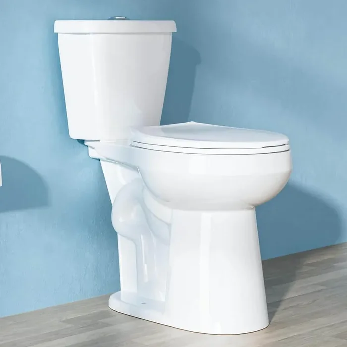 21 in. Extra Tall 2-Piece Toilet 1.1/1.6 GPF Dual Flush Round Height Toilet in White Tall Toilet 12 inch Rough In