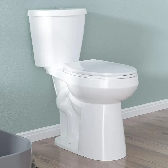 21 in. Tall 2-Piece Toilet 1.1 GPF/1.6 GPF High Efficiency Dual Flush Round Toilet in White Soft Close Seat 12 Rough in