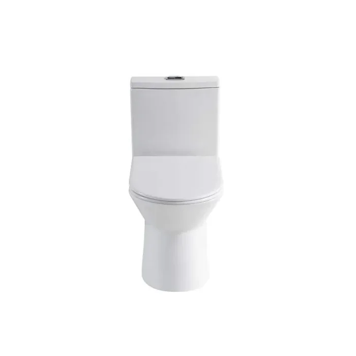 25 in. 1-Piece 1.1/1.6 GPF Dual Flush Elongated Toilet in Glossy White Seat Included