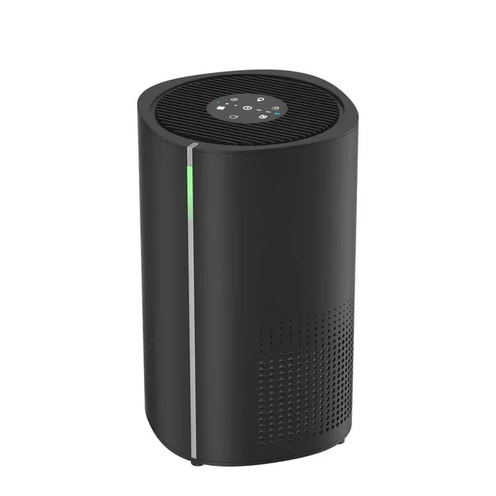 258 sq. ft. 3-Speed HEPA-True Personal Room Air Purifier in Blacks, with Timer, PM2.5 Concentration Detection