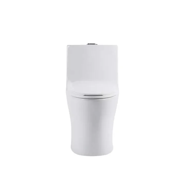 29 in. 1-Piece 1.1/1.6 GPF Dual Flush Elongated Toilet in Glossy White Seat Included