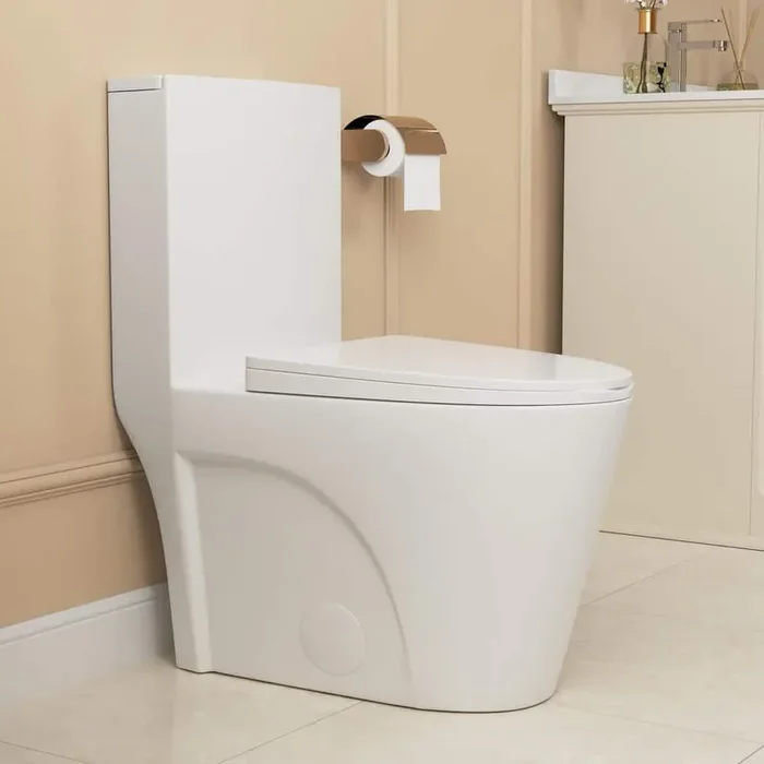 Ace 10 in. Rough In 1-Piece 1.1/1.6 GPF Dual Flush Elongated Toilet in Glossy White, Seat Included