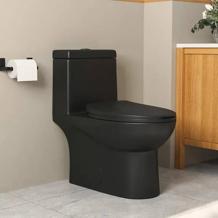 Ally 1-Piece 1.1/1.6 GPF Dual Flush Elongated ADA Seat Height Toilet in Black Seat Included