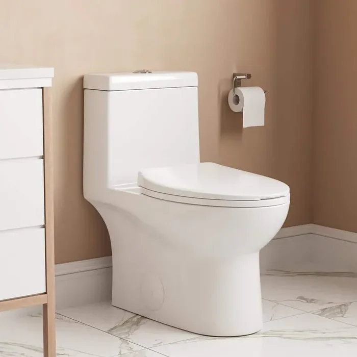 Ally 1-Piece 1.1/1.6 GPF Dual Flush Elongated ADA Seat Height Toilet in White, White Flush Button, Seat Included