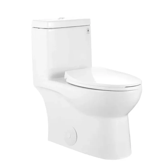 Ally 1-Piece 1.1/1.6 GPF Dual-Flush Elongated Toilet in Glossy White with Comfort Seat Height (Seat Included)
