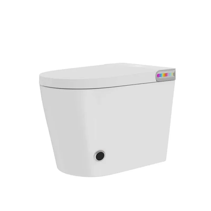 Bidet Toilet 1.19 GPF in White with Night Light, Remote Control, Auto Flushing, White Screen