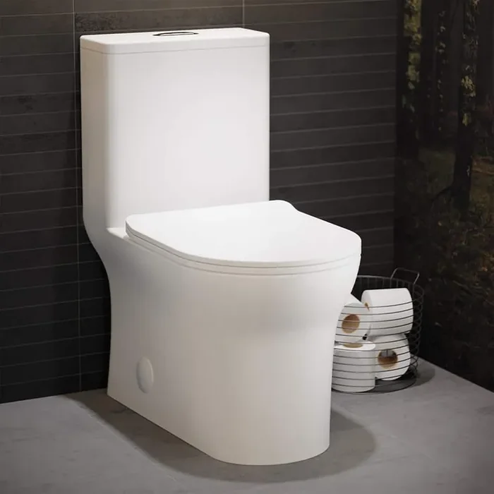 Burdon 1-Piece 12 in. Rough-in 1.1/1.6GPF Dual Flush Elongated Toilet in Glossy White with Chrome Hardware Seat Included