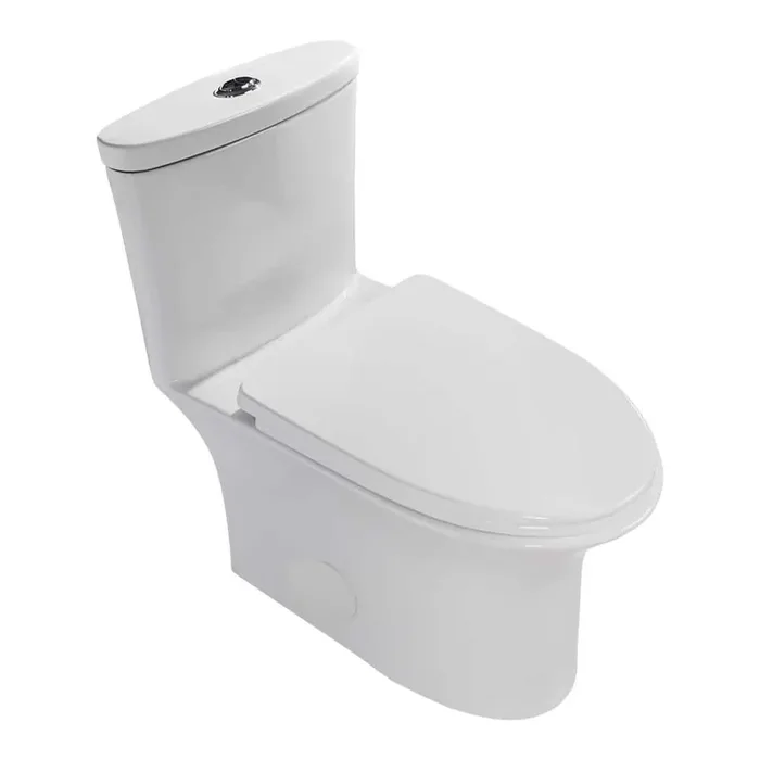 Ceramic 1-Piece 1.1/1.6 GPF Dual Flush Elongated Toilet in White, Soft Closed Seat Included