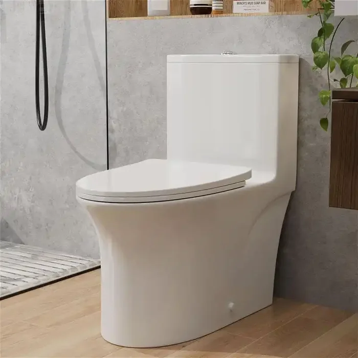 Classic 12 in. Rough In 1-Piece Toilet 1.1/1.6 GPF Water-Saving Dual Flush Elongated Toilet Glossy White Seat Included