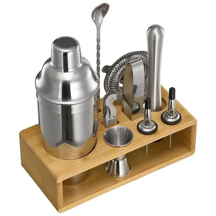 Cocktail Shaker Set, 10-Piece Stainless Steel Bar Tools with Bamboo Stand, Martini Bartender Kit Accessories, Silver